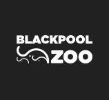 Blackpool Zoo Discount Code - Wild Adventures, Affordable Prices