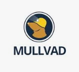 Mullvad VPN Coupon Code - Ultimate Privacy